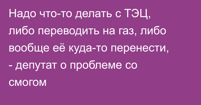 Надо что-то делать с ТЭЦ, либо переводить на газ, либо вообще её куда-то перенести, - депутат о проблеме со смогом