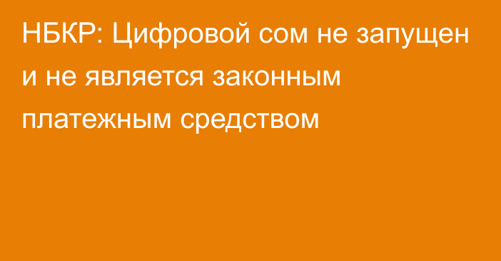 НБКР: Цифровой сом не запущен и не является законным платежным средством