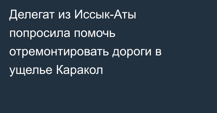 Делегат из Иссык-Аты попросила помочь отремонтировать дороги в ущелье Каракол