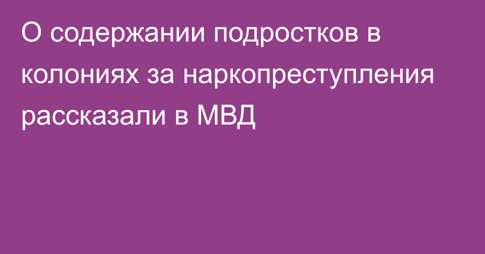 О содержании подростков в колониях за наркопреступления рассказали в МВД