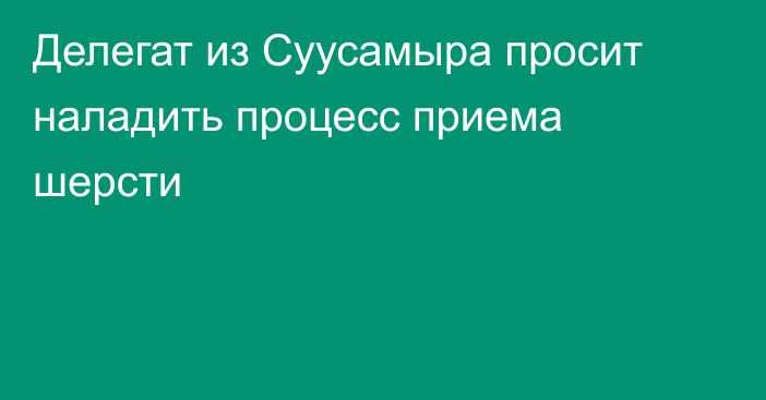 Делегат из Суусамыра просит наладить процесс приема шерсти