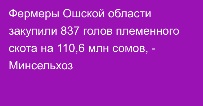 Фермеры Ошской области закупили 837 голов племенного скота на 110,6 млн сомов, - Минсельхоз