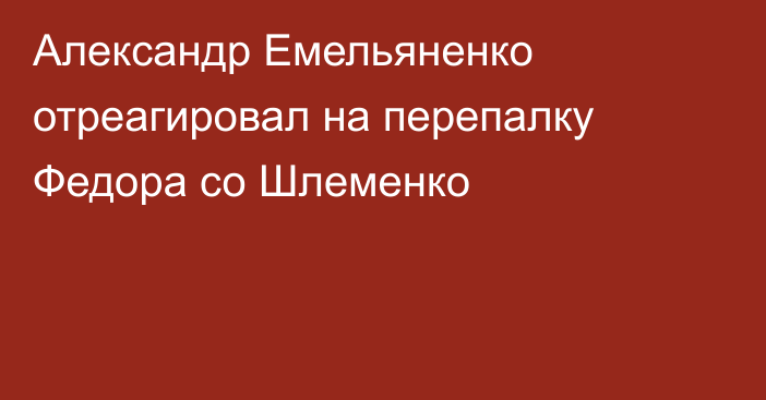 Александр Емельяненко отреагировал на перепалку Федора со Шлеменко