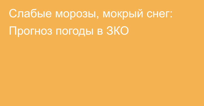 Слабые морозы, мокрый снег: Прогноз погоды в ЗКО