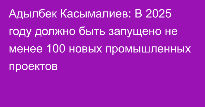 Адылбек Касымалиев: В 2025 году должно быть запущено не менее 100 новых промышленных проектов