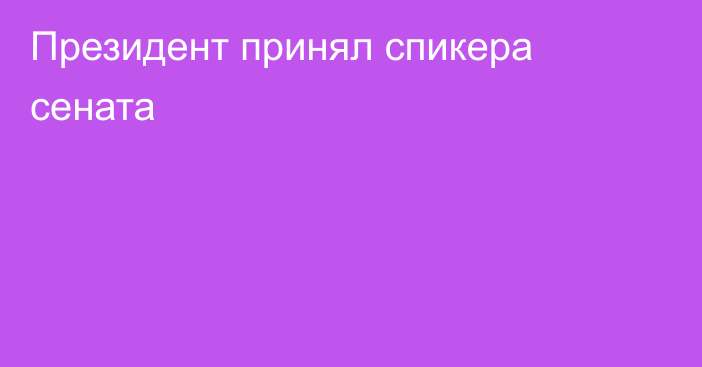 Президент принял спикера сената