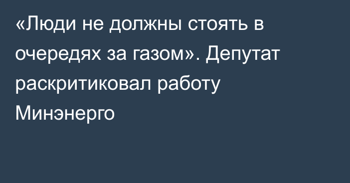 «Люди не должны стоять в очередях за газом». Депутат раскритиковал работу Минэнерго