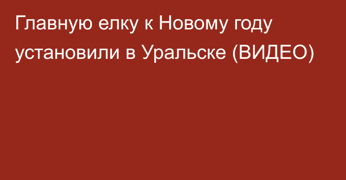 Главную елку к Новому году установили в Уральске (ВИДЕО)