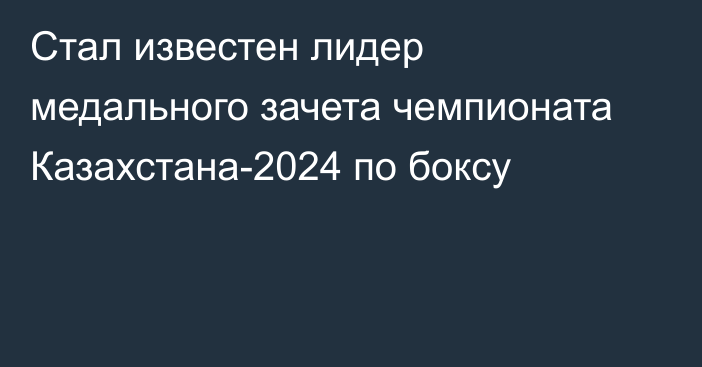 Стал известен лидер медального зачета чемпионата Казахстана-2024 по боксу