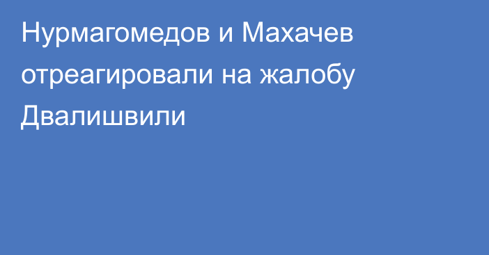 Нурмагомедов и Махачев отреагировали на жалобу Двалишвили