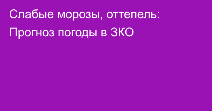 Слабые морозы, оттепель: Прогноз погоды в ЗКО