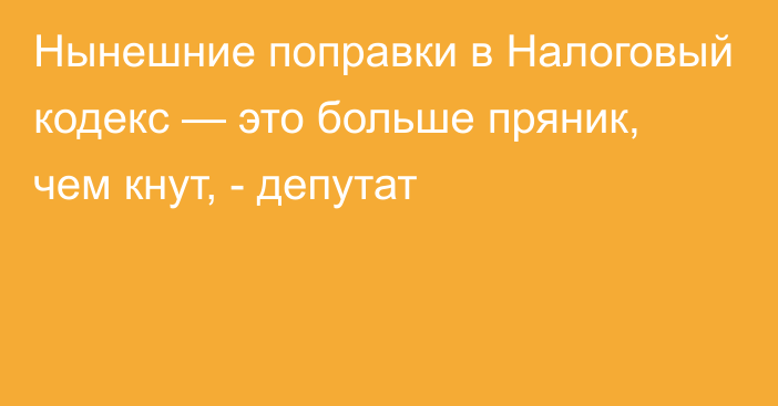 Нынешние поправки в Налоговый кодекс — это больше пряник, чем кнут, - депутат