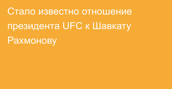 Стало известно отношение президента UFC к Шавкату Рахмонову