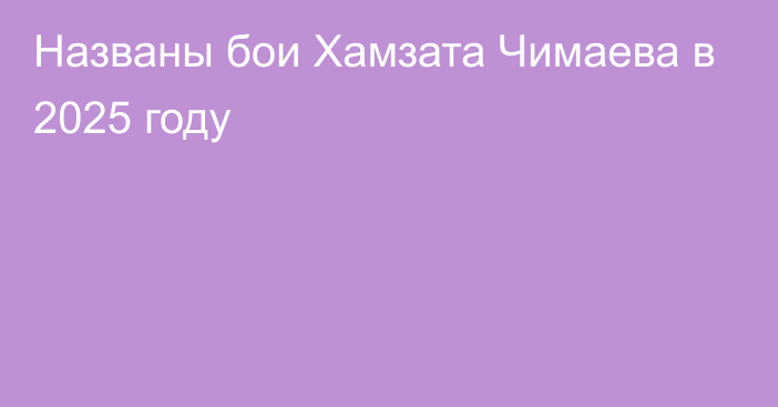 Названы бои Хамзата Чимаева в 2025 году