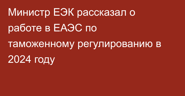 Министр ЕЭК рассказал о работе в ЕАЭС по таможенному регулированию в 2024 году