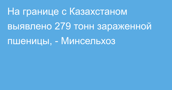 На границе с Казахстаном выявлено 279 тонн зараженной пшеницы, - Минсельхоз