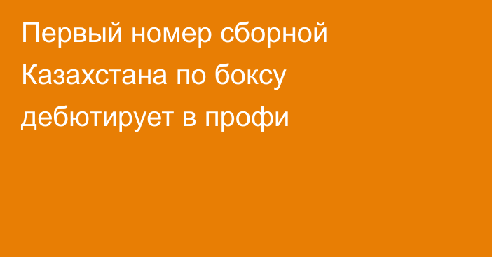 Первый номер сборной Казахстана по боксу дебютирует в профи