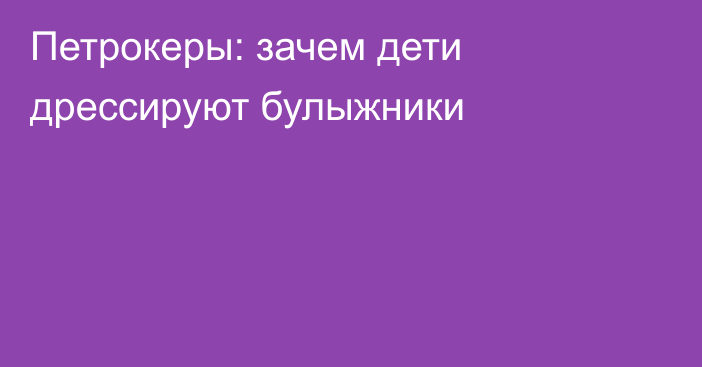 Петрокеры: зачем дети дрессируют булыжники