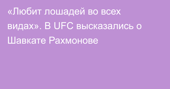 «Любит лошадей во всех видах». В UFC высказались о Шавкате Рахмонове