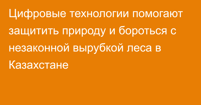 Цифровые технологии помогают защитить природу и бороться с незаконной вырубкой леса в Казахстане