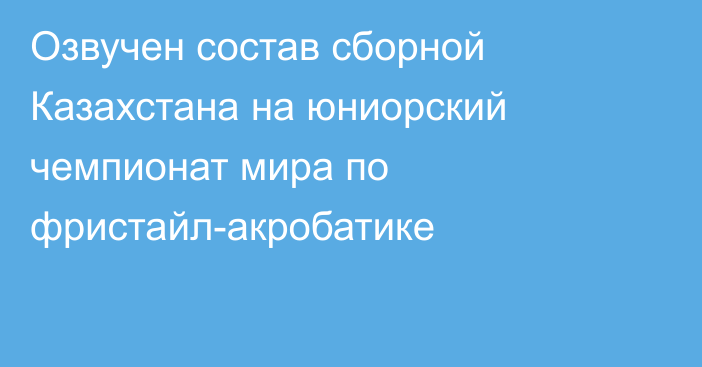 Озвучен состав сборной Казахстана на юниорский чемпионат мира по фристайл-акробатике