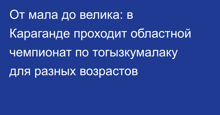 От мала до велика: в Караганде проходит областной чемпионат по тогызкумалаку для разных возрастов