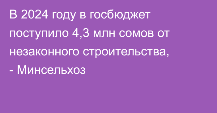 В 2024 году в госбюджет поступило 4,3 млн сомов от незаконного строительства, - Минсельхоз 