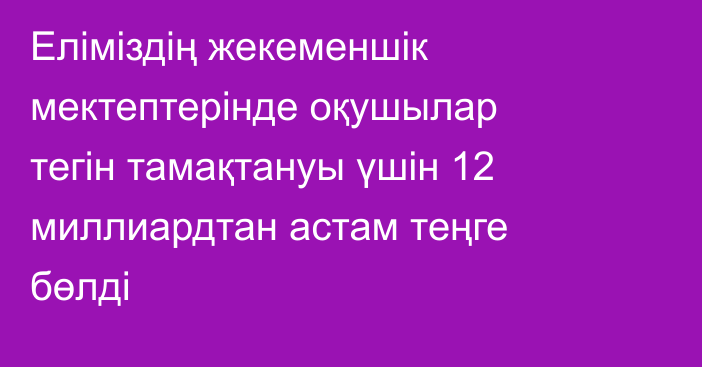 Еліміздің жекеменшік мектептерінде оқушылар тегін тамақтануы үшін 12 миллиардтан астам теңге бөлді