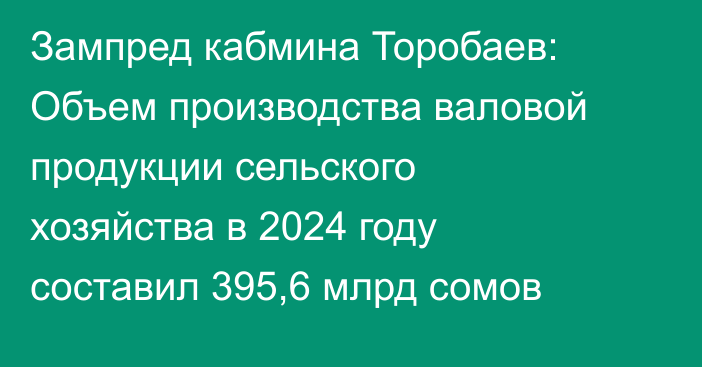 Зампред кабмина Торобаев: Объем производства валовой продукции сельского хозяйства в 2024 году составил 395,6 млрд сомов