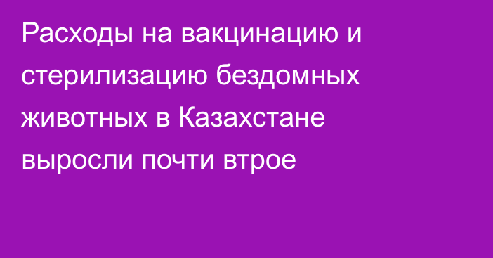 Расходы на вакцинацию и стерилизацию бездомных животных в Казахстане выросли почти втрое