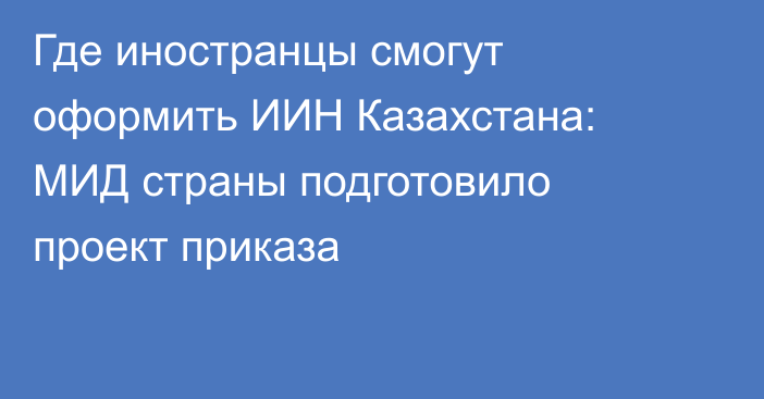 Где иностранцы смогут оформить ИИН Казахстана: МИД страны подготовило проект приказа