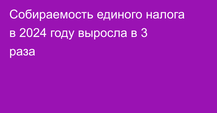 Собираемость единого налога в 2024 году выросла в 3 раза