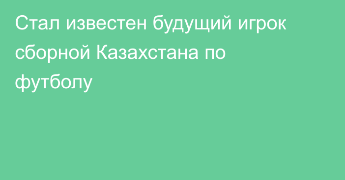 Стал известен будущий игрок сборной Казахстана по футболу