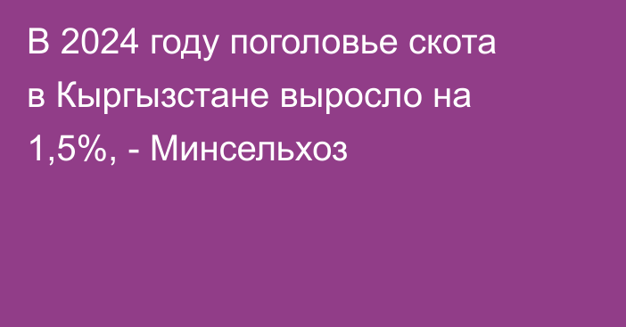 В 2024 году поголовье скота в Кыргызстане выросло на 1,5%, - Минсельхоз