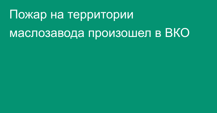 Пожар на территории маслозавода произошел в ВКО