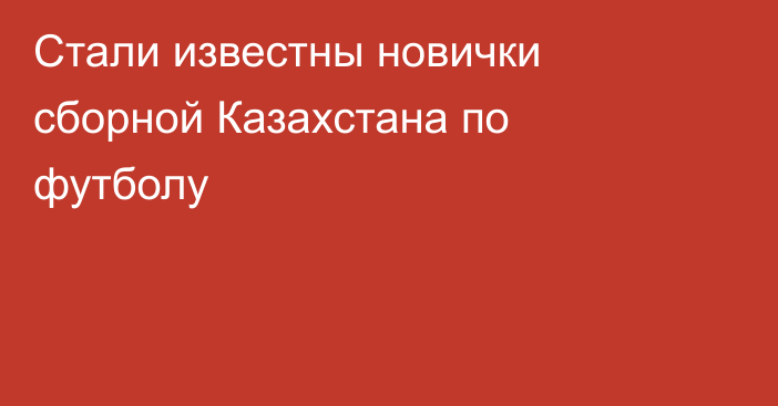 Стали известны новички сборной Казахстана по футболу