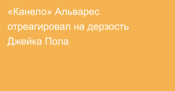 «Канело» Альварес отреагировал на дерзость Джейка Пола