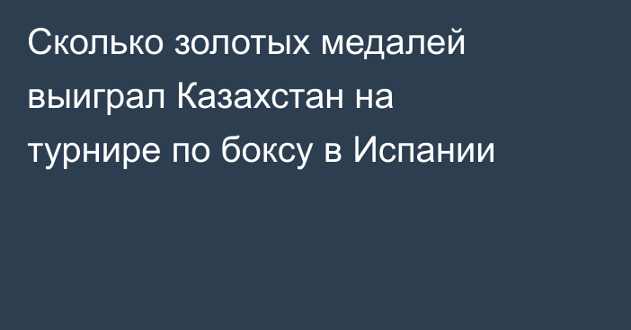 Сколько золотых медалей выиграл Казахстан на турнире по боксу в Испании