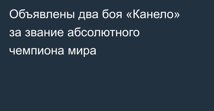 Объявлены два боя «Канело» за звание абсолютного чемпиона мира