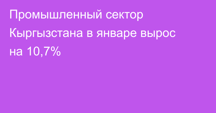 Промышленный сектор Кыргызстана в январе вырос на 10,7%