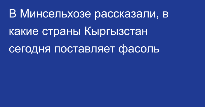 В Минсельхозе рассказали, в какие страны Кыргызстан сегодня поставляет фасоль