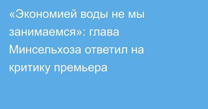 «Экономией воды не мы занимаемся»: глава Минсельхоза ответил на критику премьера