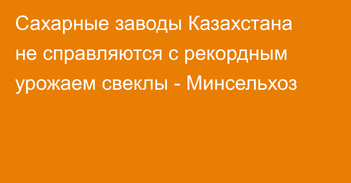 Сахарные заводы Казахстана не справляются с рекордным урожаем свеклы - Минсельхоз