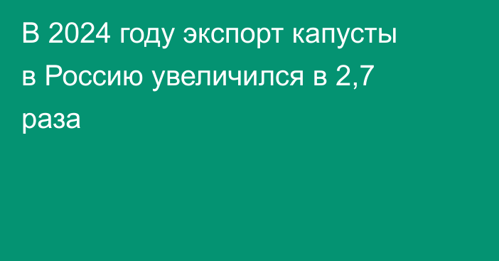 В 2024 году экспорт капусты в Россию увеличился в 2,7 раза