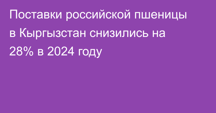 Поставки российской пшеницы в Кыргызстан снизились на 28% в 2024 году