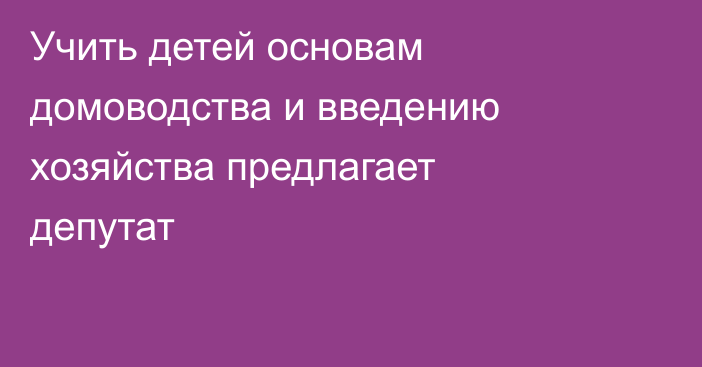 Учить детей основам домоводства и введению хозяйства предлагает депутат