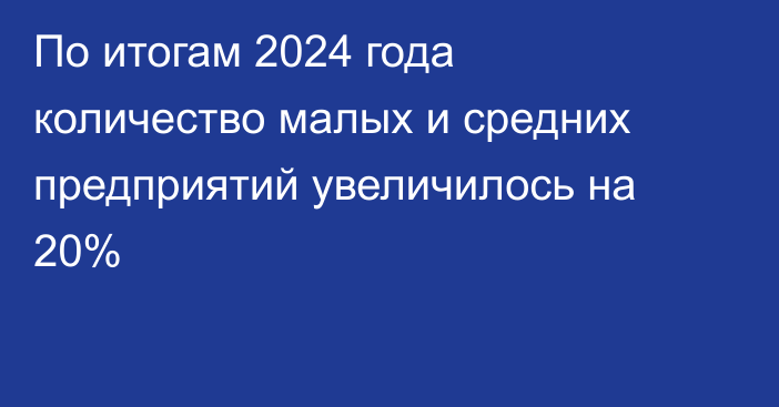По итогам 2024 года количество малых и средних предприятий увеличилось на 20% 