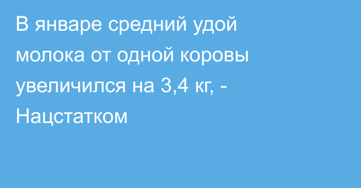 В январе средний удой молока от одной коровы увеличился на 3,4 кг, - Нацстатком 