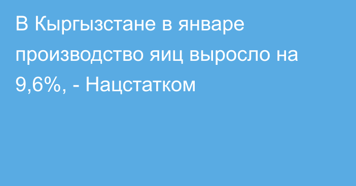 В Кыргызстане в январе производство яиц выросло на 9,6%, - Нацстатком 