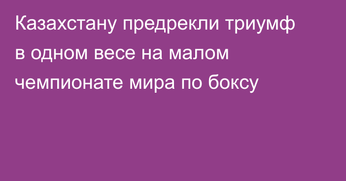 Казахстану предрекли триумф в одном весе на малом чемпионате мира по боксу